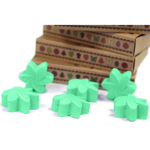 Box of 6  Wax Melts - Hidden Garden 2