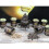 50gm Guggal Resin 4