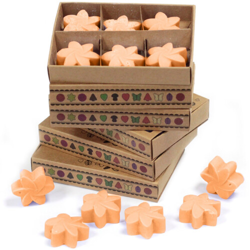 Box of 6  Wax Melts - Mango Fruits 1
