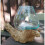 Molten Glass on Wood - Large Bowl 1