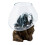 Molten Glass on Wood - Large Bowl 2