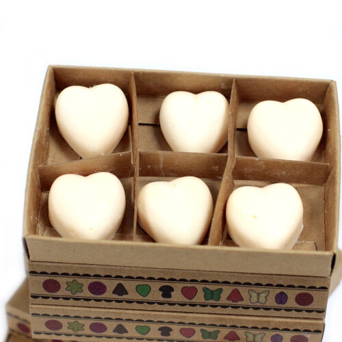 Box of 6  Wax Melts - Cinnamon & Orange 1