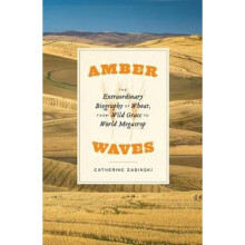 Amber Waves - The Extraordinary Biography of Wheat, from Wild Grass to World Megacrop