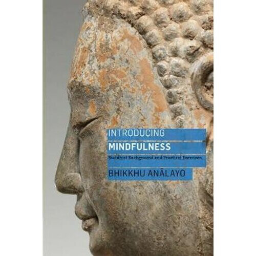 Introducing Mindfulness