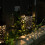 4x Solar Powered LED Outdoor Yard Path Lighting Garden Lights Post 5