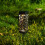 4x Solar Powered LED Outdoor Yard Path Lighting Garden Lights Post 4