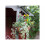 Smart Solar Smart Hanging Basket 14 inch 6030021 1