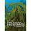 New Zealand Seaweeds 2020 1