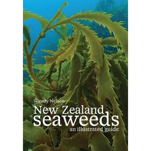 New Zealand Seaweeds 2020
