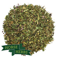 Horse Herbs Echinacea Herb 1kg - Horse or Pony Feed Supplement, Equine