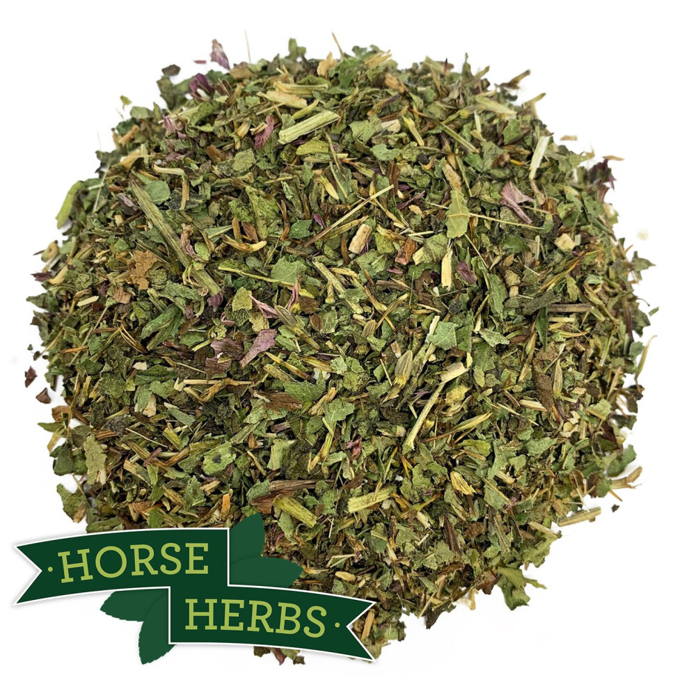 Horse Herbs Echinacea Herb 1Kg - Horse Or Pony Feed Supplement, Equine
