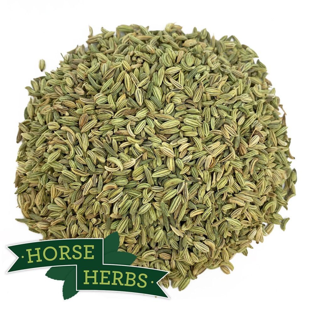 Horse Herbs Fennel Seed 1kg - Horse or Pony Feed Supplement, Equine