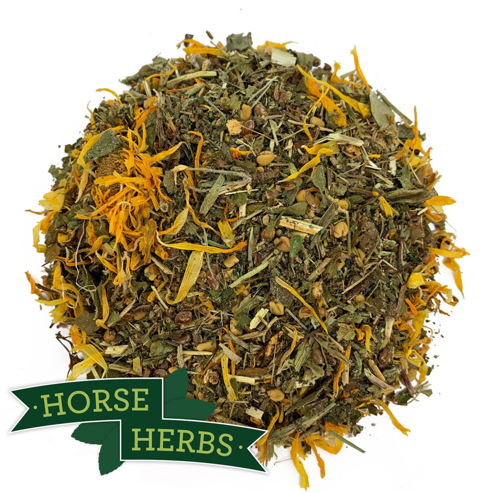 Horse Herbs Healthy Veteran 1kg - Older Horse Care, Burdock, Supplement, Equine