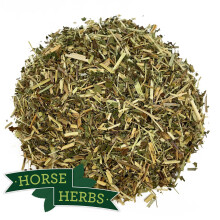 Horse Herbs Meadowsweet 1kg - Horse Feed Supplement, Equine, Clivers