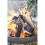 La Hacienda La Hacienda Pittsburgh Small Firepit, Oiled Steel 6