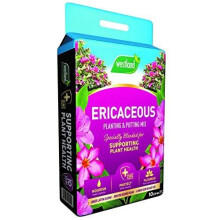 Westland 11400006 Ericaceous Compost, Pink