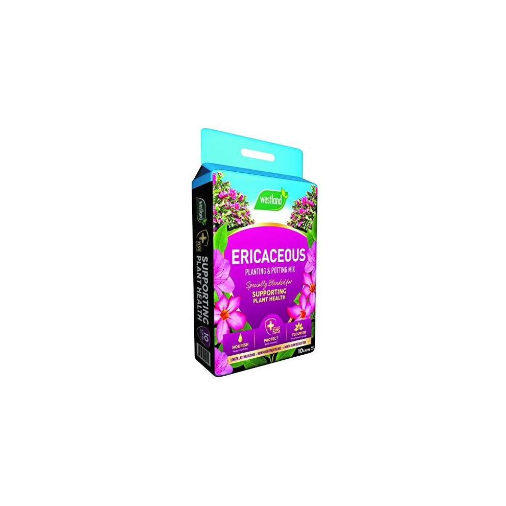 Westland 11400006 Ericaceous Compost, Pink