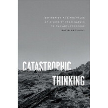 Catastrophic Thinking