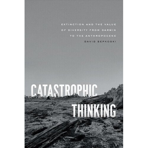 Catastrophic Thinking