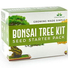 Urban Sprout Bonsai Tree Kit - Grow Your Own Bonsai Trees from Seed - Sustainable Eco Gardening Gift Set with 5 Bonzai Seed Varieties and Bonzie Sta