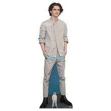 Star Cutouts Ltd Star CS827 Timothee Hal Chalamet Lifesize Cardboard Cutout/Standee/Standup Height 179cm Width 58cm, Multicolour