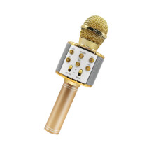 Handy-App Bao Handheld KTV 2 in 1 kabelloses Bluetooth-Mikrofon Mikrofon Audio kommt mit Blitzeffekt-Gold