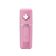 Tragbarer Kaltspray-Wasserzähler USB Nano Großes Sprühinstrument Feuchtigkeitsspendender Dampfgesichtsbefeuchter-Pink