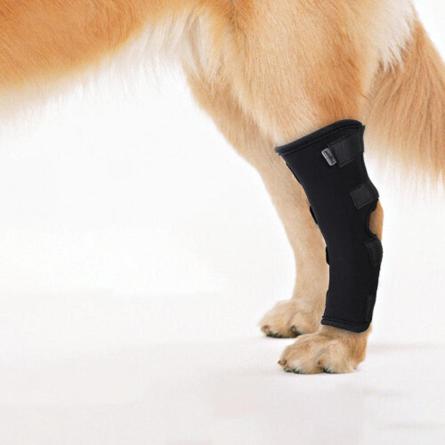 Dog Hock Braces Pet Supportive Rear Dog Compression Leg Joint Wrap Protects Wounds and Injury