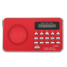 Portable Audio MP3 Player Speaker AUX SD TF Card Port FM Radio For Elders RED