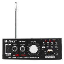 DC 12V AC 220V Car Radio Amplifier Car Amplifier Wth Remote Control