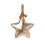 Kaemingk Micro LED Star With Rope Warm White [9480254] 1