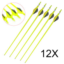12Pcs Archery Arrows Carbon Arrow 30" Steel Tip For Recurve & Compound