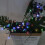 (Colorful) Flower Fairy Garden String 50LED Solar 3