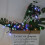 (Colorful) Flower Fairy Garden String 50LED Solar 5
