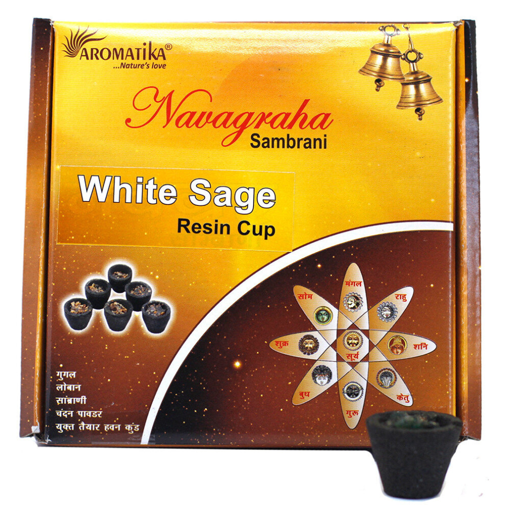 Box of 12 Resin Cups - White Sage-image-OPC-P6D65JP-NEW