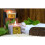 Soybean Jar Candles - Grapefruit & Ginger 2