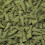 Bulk  Incense Cones - Tulsi Basil 1