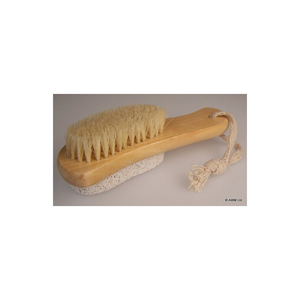 Pumice Backed Brush