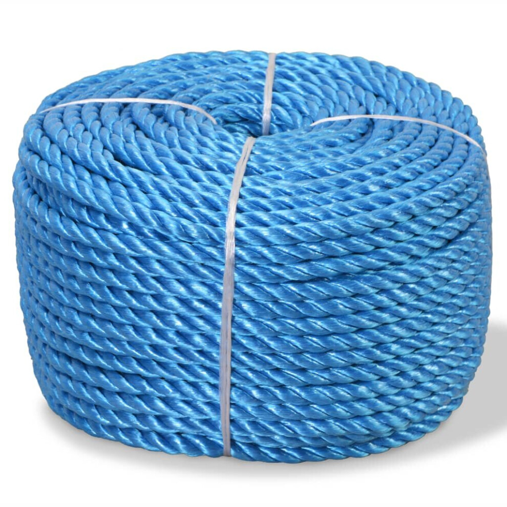 vidaXL Twisted Rope Polypropylene 16mm 250m Blue Garden Work Cord Line Cable