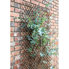 Tom Chambers Expanding Williow Panel 180cm x 60cm Garden Flower Rose Trellis Support