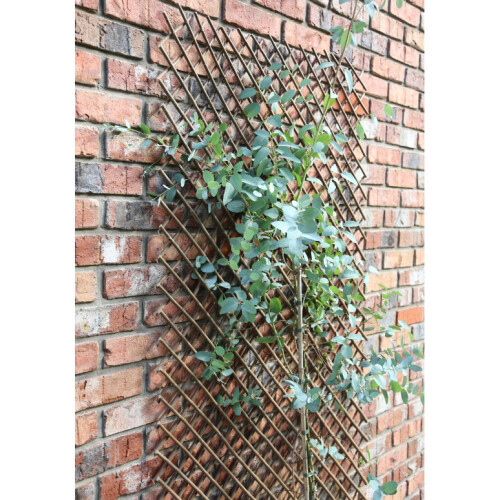 Samuel Alexander Tom Chambers Expanding Williow Panel 180cm x 60cm Garden Flower Rose Trellis Support