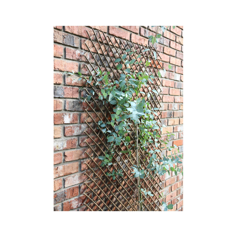 Tom Chambers Expanding Williow Panel 180cm x 60cm Garden Flower Rose Trellis Support