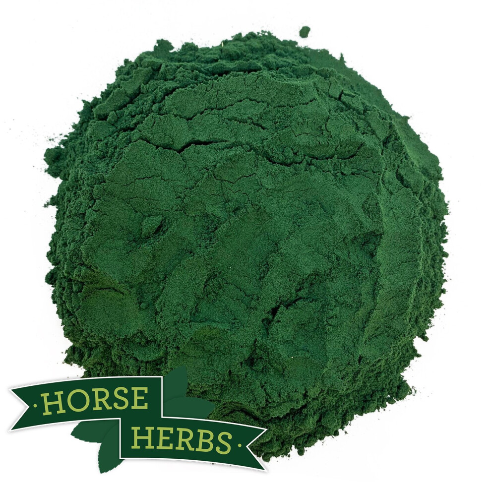 Horse Herbs Spirulina Powder 300g - Horse & Pony Feed Supplement, Equine