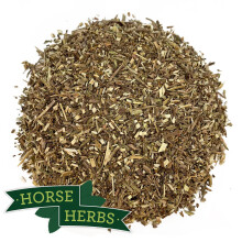 Horse Herbs Vervain 1kg - Horse and Pony Natural Supplement - Horse Calmer