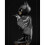 DC Comics Iron Studios Batman - The Dark Knight - Minico 3