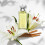 Calvin Klein Calvin Klein Eternity for Women Eau de Parfum 2