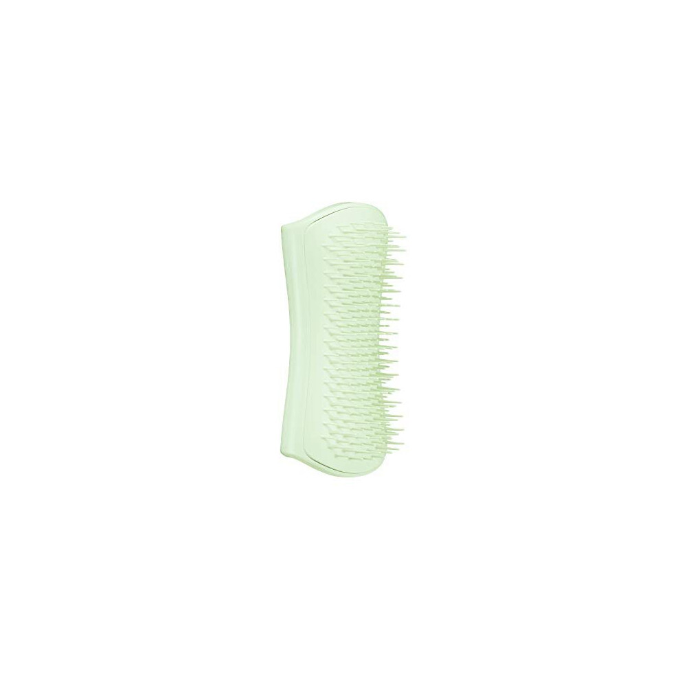 Pet Teezer, Pet Puppy Grooming Brush, Mint