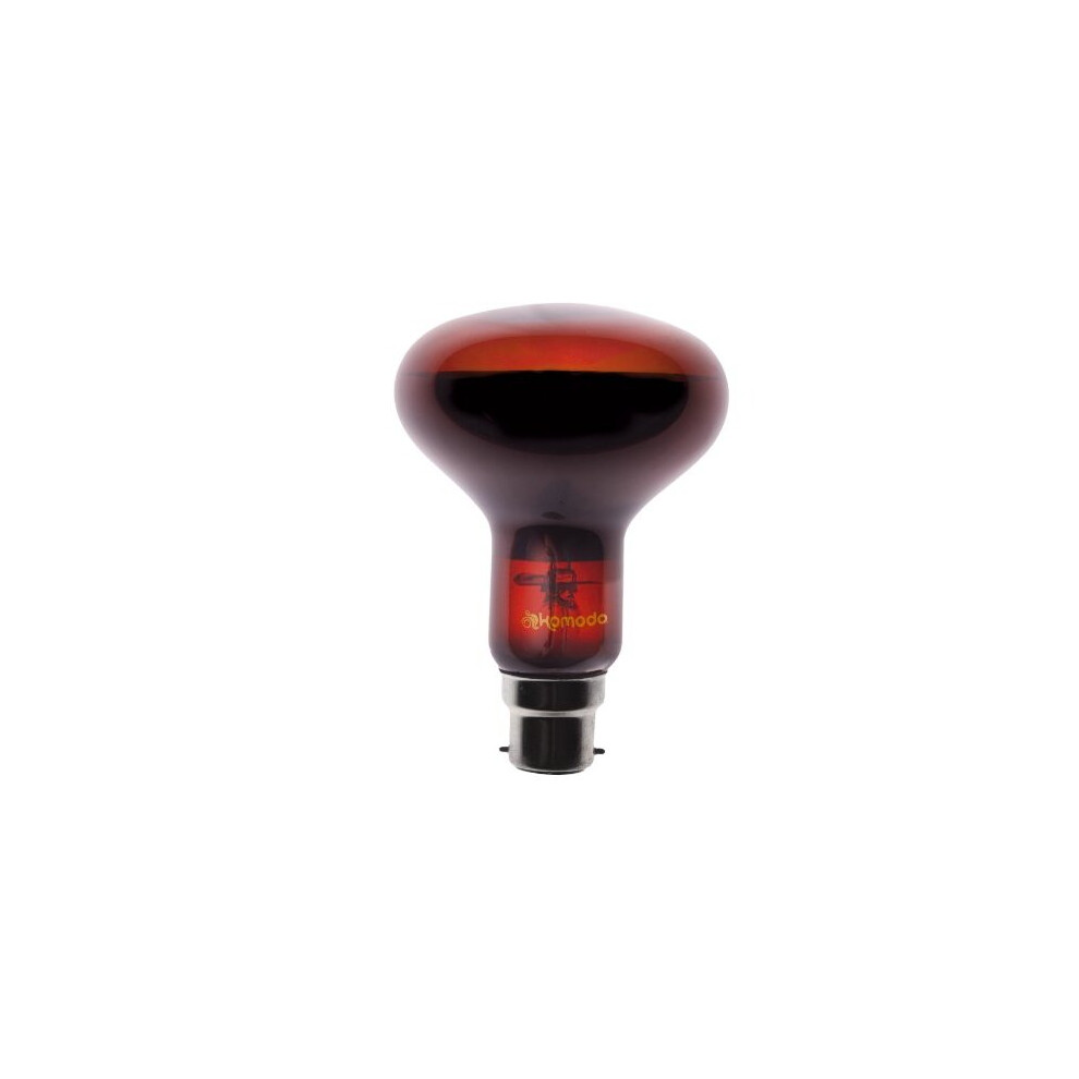Komodo Night Spot Bulb R63 BC, 50 Watt