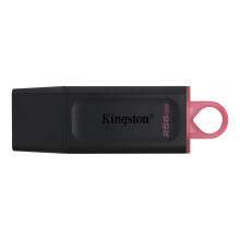 KINGSTON DataTraveler Exodia 256GB USB-stick - Met beschermkap en ringen voor sleutelhanger