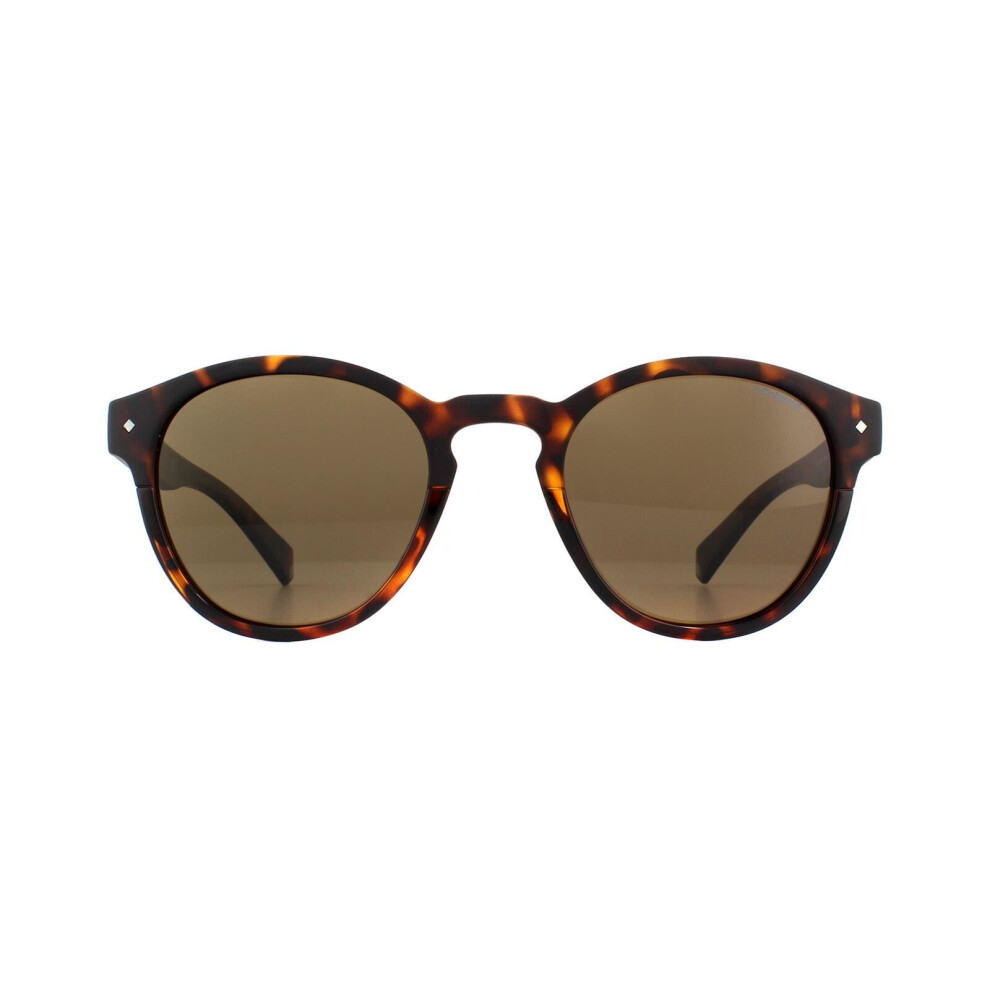 Polaroid Sunglasses 6042/S 086 Sp Dark Havana Bronze Polarized Brown